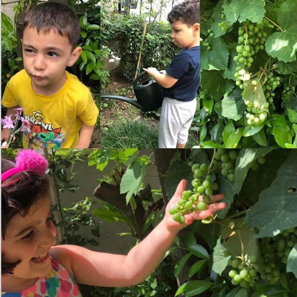 2-3 Yaş Eğitim Programları