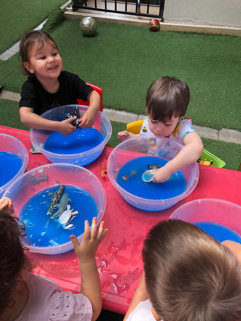 Eğitim Programları