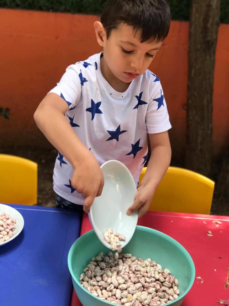 3-4 Yaş Eğitim Programları