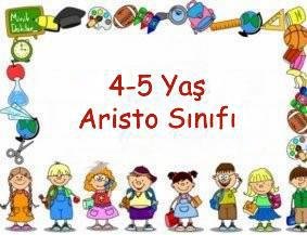 Aristo Sınıfı